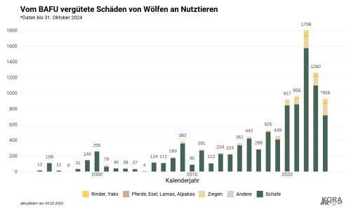 In der Schweiz vom BAFU gemäss Konzept Wolf Anhang 7 entschädigte Schäden von Wölfen an Nutztieren. Die Daten für November und Dezember 2024 sind noch nicht enthalten. Daten: © BAFU, Darstellung: © KORA